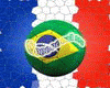 2010 Fifa World Cup