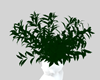 Plant Hat