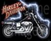 HarleyDavidson PhotoRoom