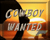 Glitter - Cowboy Wanted