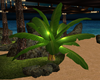(K) Tropical Plant