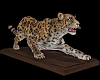 The Leopard.