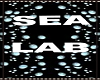~Sea Lab Room~