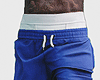 EE Bricked Blue Shorts