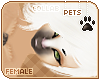[Pets] Phar | hair v7