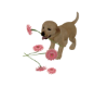 Dog and Flower