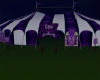 Circus Tent Purple