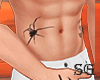 Tatto spider S