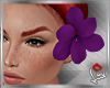 [LD]Hibiscus♣Violet