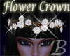 Diamond Flower Crown
