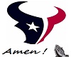 Texans NFL Jersey (M)