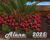 Red Roses Garden