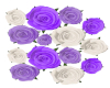 Purple & White Roses
