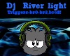 D3~Dj River light