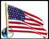 |IGI| USA Flag