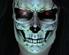 Head Skull Halloween