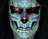 Skull Halloween