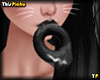 Tp Black animated Donut