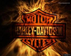 Harley David Muscle Shir