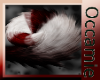Conquest  Red Tail
