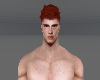 Hair Canelo ruivo