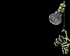 Z* Goddess Gold Snake D