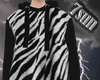 Zebra sweater（M)