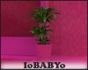 [IB]Pink: Pot Plants