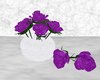 Queen purple roses