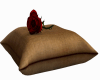 pillows roses