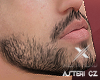 ❌ Asteri beard v2