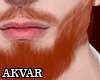 ᴀ| Jash Exclusive