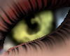 Yellow iris eyes
