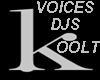 VOICE DJS BATTLE
