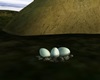 Stone Age Dinosaur Eggs