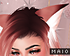🅜 GINGER: shy cat ear