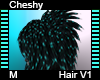 Cheshy Hair M V1