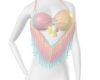 [MM] Pastel Fringe Top