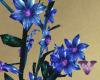 Mt Retreat Blue Flowers