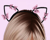 Butterfly Pink Cat Ears