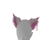 CLB | Pink Ears