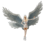 angel 8