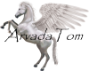 AT'S Pegasus 2
