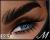 м| Icisa v.1 .Brow