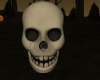 DER: Human Skull