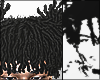 Freeforms 3
