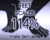 Foot Resizer Scale 114%
