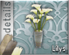 [MGB] D! Flowers / Lilys