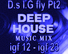 D.s I.G fly  Pt2