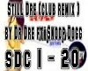 [DJ] Still Dre - Remix